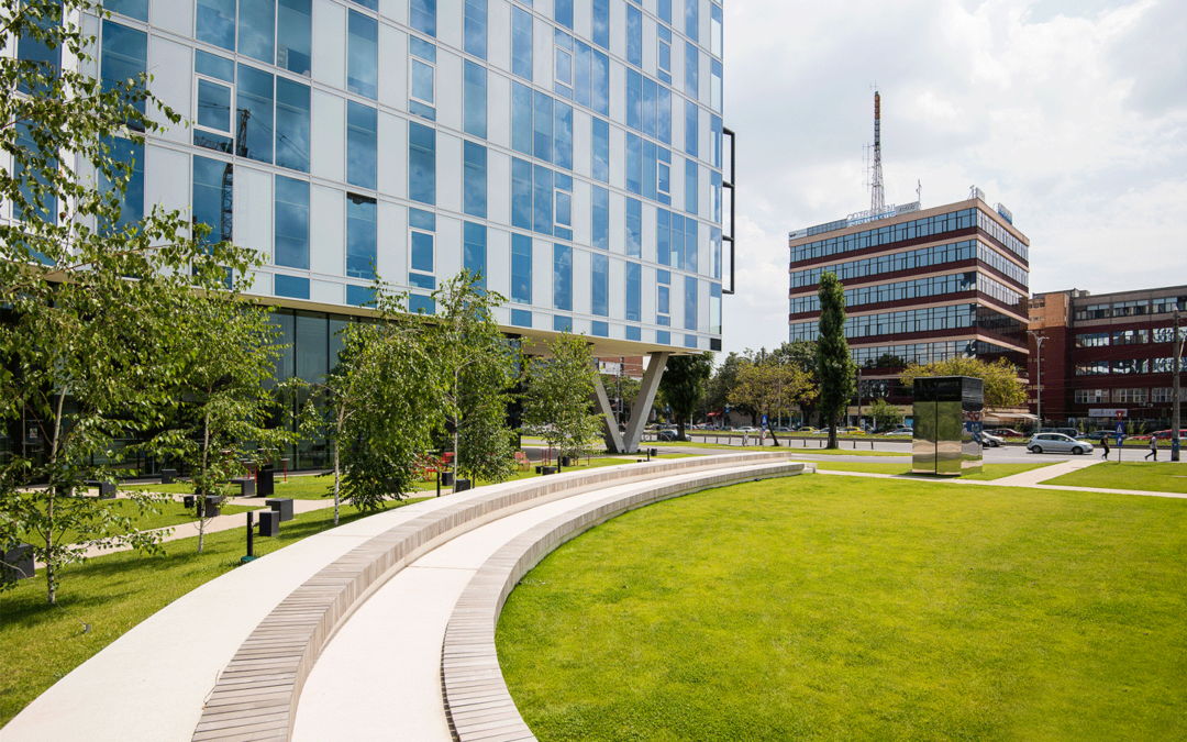 Rolul acoperișurilor verzi în workplace management