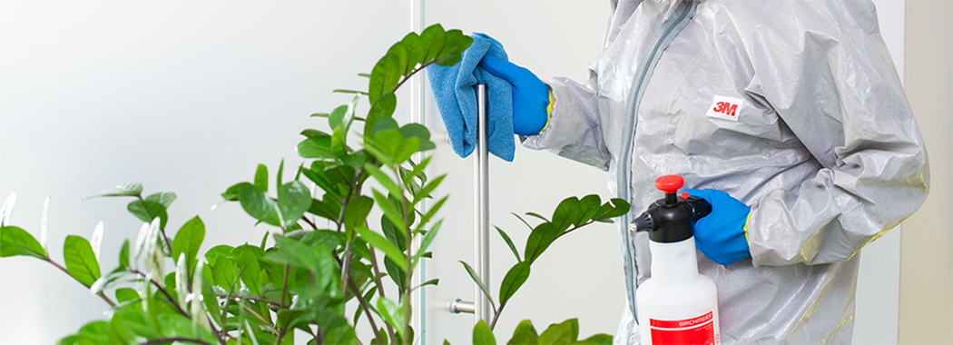 Pandemia & Mediul de business